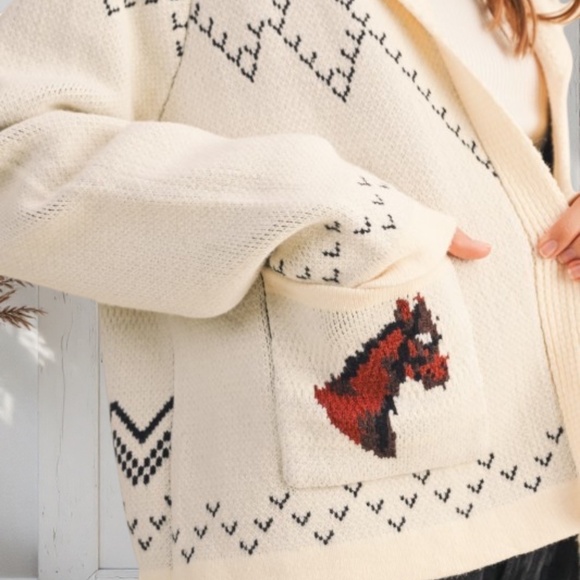 Ivory Horse Western Knit Shawl Collar Relaxed Fit Cardigan Sweater Fall Winter - Picture 2 of 3